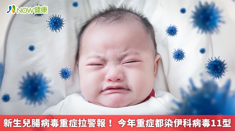 新生兒腸病毒重症拉警報! 今年重症都染伊科病毒11型 新生兒腸病毒重症拉警報! 今年重症都染伊科病毒11型