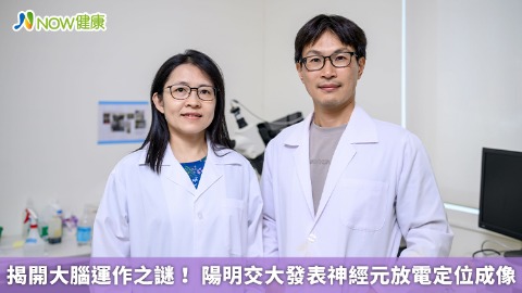 揭開大腦運作之謎! 陽明交大發表神經元放電定位成像 揭開大腦運作之謎! 陽明交大發表神經元放電定位成像