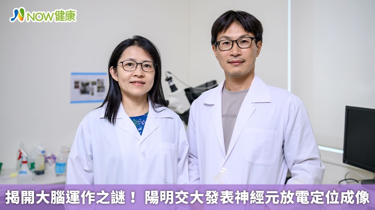 揭開大腦運作之謎! 陽明交大發表神經元放電定位成像 揭開大腦運作之謎! 陽明交大發表神經元放電定位成像