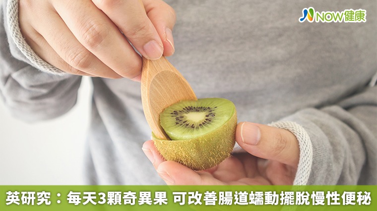 英研究:每天3顆奇異果 可改善腸道蠕動擺脫慢性便秘 英研究:每天3顆奇異果 可改善腸道蠕動擺脫慢性便秘