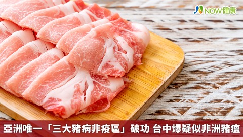 亞洲唯一「三大豬病非疫區」破功 台中爆疑似非洲豬瘟 亞洲唯一「三大豬病非疫區」破功 台中爆疑似非洲豬瘟