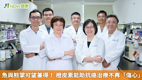 魚與熊掌可望兼得！ 橙皮素能助抗癌治療不再「傷心」