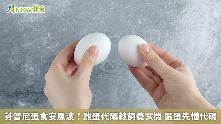 芬普尼蛋食安風波！雞蛋代碼藏飼養玄機 選蛋先懂代碼 