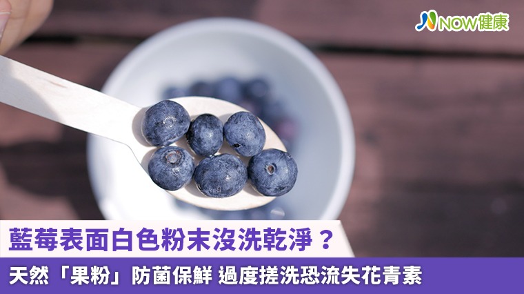 藍莓表面白色粉末沒洗乾淨？天然「果粉」防菌保鮮 過度搓洗恐流失花青素