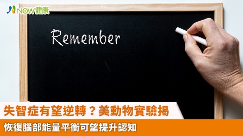 失智症有望逆轉？美動物實驗揭 恢復腦部能量平衡可望提升認知