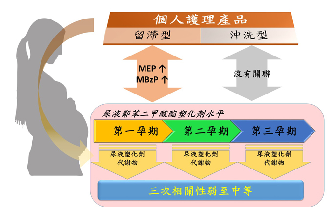 懷孕婦女使用留滯型個人保養護理產品次數,與尿液中檢測出塑化劑代謝物MEP和MBzP呈現正相關;而沖洗型個人保養護理產品則無相關性。(圖/國衛院國家環境醫學研究所王淑麗研究員提供) 懷孕婦女使用留滯型個人保養護理產品次數,與尿液中檢測出塑化劑代謝物MEP和MBzP呈現正相關;而沖洗型個人保養護理產品則無相關性。(圖/國衛院國家環境醫學研究所王淑麗研究員提供)