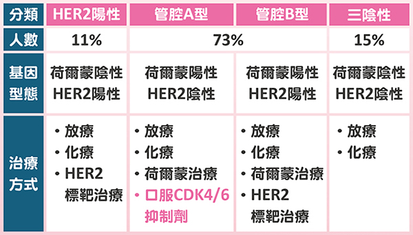 乳癌類型整理。(圖/公關照片) 乳癌類型整理。(圖/公關照片)