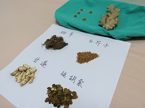 三九貼藥材包含細辛、白芥子、甘遂、延胡索等。(圖/花蓮慈濟醫院提供)