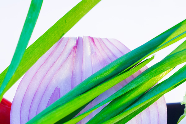 蔬菜類 蔬菜類