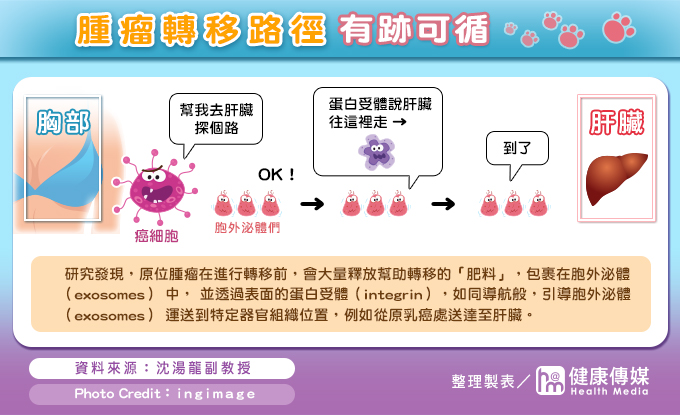 腫瘤轉移路徑有跡可循